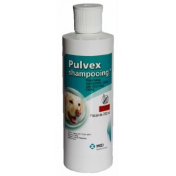 PULVEX SHAMPOOING 200ML