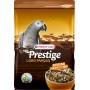 PERROQUETS AFRICAIN 2.5KG