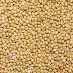 MILLET JAUNE 1KG