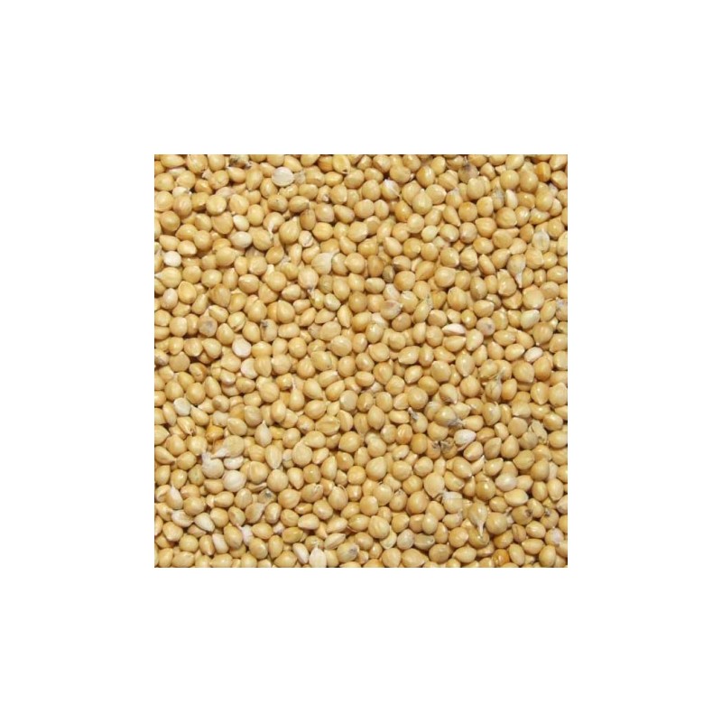 MILLET JAUNE 1KG