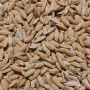 RIZ PADDY 20KG