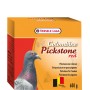 COLOMBINE - PICKSTONE RED 600GR