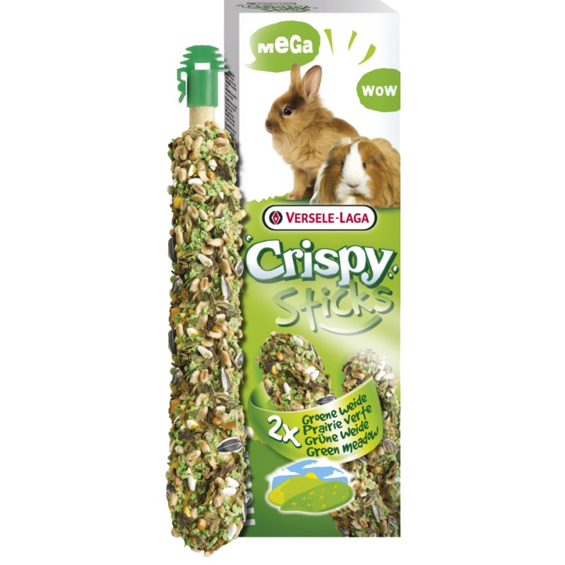 CRISPY STICK PAIRIE VERTE 2PCS