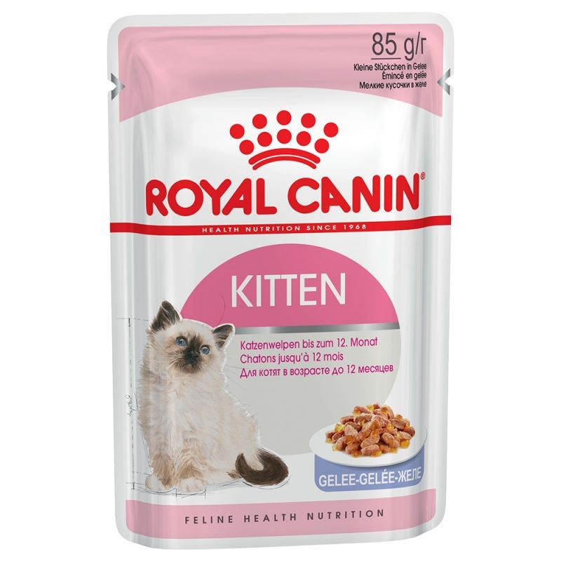 ROYAL CANIN KITTEN GELEE 12x85G